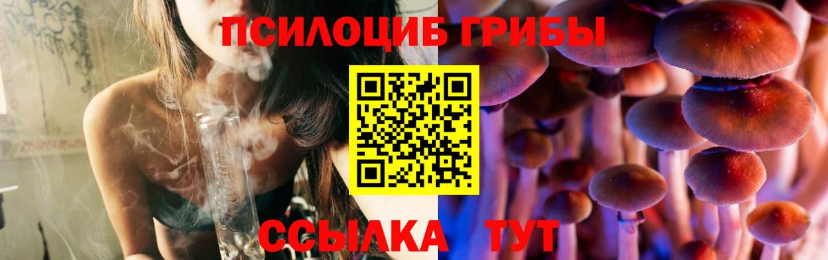 Псилоцибиновые грибы Cubensis  Вход с VPN  Сосновоборск 